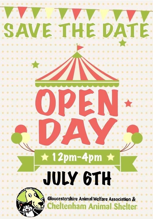 open day at cheltenham animal shelter what to do this summer with glos.info